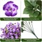 Fake Hibiscus Artificial Flowers for Outdoors Spring Summer Decoration, 6 Bundles Silk Purple Hibiscus Flowers Bouquet